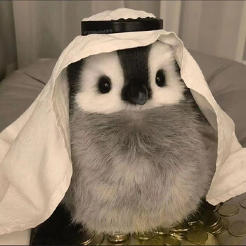 帝蓝尼可爱小企鹅玩偶睡觉抱枕帝宝宝毛绒公仔毛绒玩具卡通 主图款