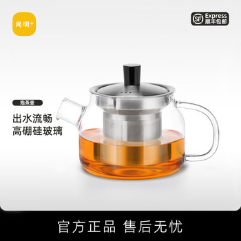 尚明（SAMADOYO）耐热玻璃冲茶壶带过滤泡花茶壶小容量泡茶器功夫茶具套装家用办公 单壶 470ml