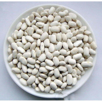 种籽蛇豆种蔬菜种孑特大花种籽子四季豆种子菜籽种大全 白芸豆50克