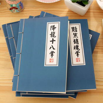 学习办公文具 新奇特创意武林秘籍日记本 送同学小礼物 北冥神功