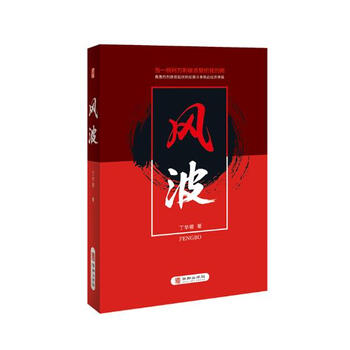 风波 小说 书籍
