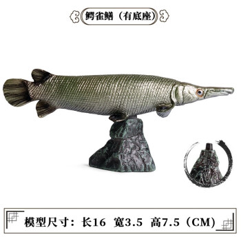 Oenux玩具鱼认物儿童假鱼仿真海洋淡水鱼模型动物三文食人金枪咸鱼水母 M-1152鳄雀鳝