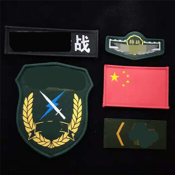 臂章配件胸标领章作训服配件标学生军训15臂章软胸标 武虎斑特战《5样