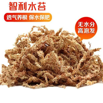 生长魔励 家用园艺智利进口水苔蝴蝶兰专用营养土石斛专用基质多肉干苔藓 2L