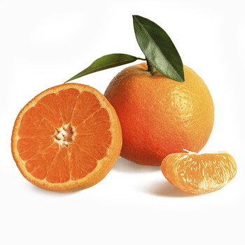 广东潮州焦柑潮州柑潮柑现摘新鲜大吉年柑潮州柑橘丑柑 2.5kg