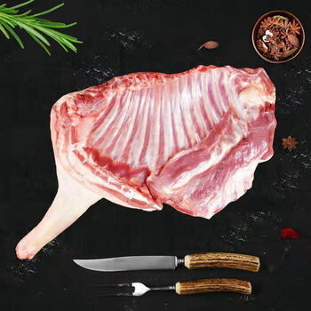 羊肉现宰去骨羊肉新鲜现杀羊肉批发羊肉火锅食材 6斤前腿带排