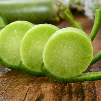 正宗潍坊青萝卜潍县水果萝卜生吃新鲜 10斤山东甜脆沙窝萝卜