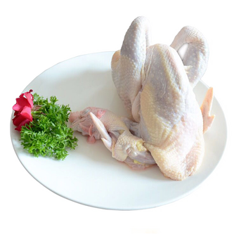 北京油鸡老母鸡农家散养孕产煲汤佳品品味三百年历史的中华宫廷黄鸡约