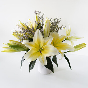 黄天霸香水百合鲜花云南基地直发家用昆明直批直供水养插花 黄天霸20