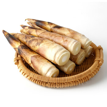 5kg 小笋清明菜头茬笋 春笋 1.5kg