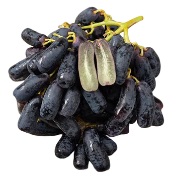shiyixian新鲜美手指葡萄 甜蜜无籽长型黑葡萄当季新鲜无籽美人指整箱
