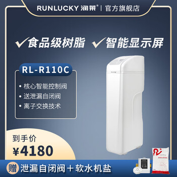 润莱 中央家用软水机 全屋软水机 净水器除水垢 RL-R60C / R110C RL-R110C（2卫 2-4口人）
