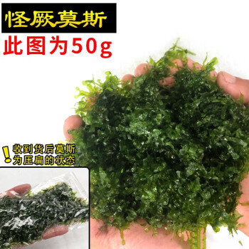 墨一鱼缸莫斯水草植物活体慕斯片散装莫丝树球沉木大三角垂泪前景造景天蓝色 图片价格品牌报价 京东