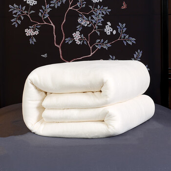 寝睡家纺 加厚 棉被 棉絮垫被子纯棉冬被春秋被芯棉絮床垫被褥子单人