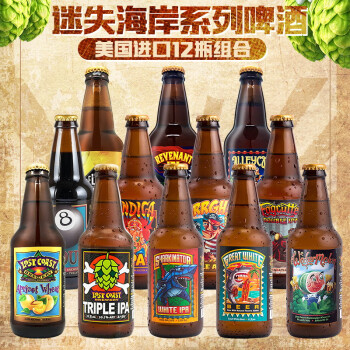 釀啤酒果味啤酒小麥白啤黑啤花生醬迷霧快艇海鯨三倍ipa12瓶12種組合