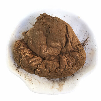 中药材马勃500克灰菇马屁包牛屎菇药包马屁勃