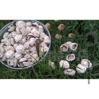 白蘑舌尖口蘑干货 张家口干口蘑菇新鲜草原白蘑菇250g【图片 价格 品牌 报价】-京东