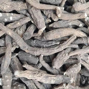 北京同仁堂原料中药材野生天雄天雄别名白幕一枝蒿正宗各种冷背药材