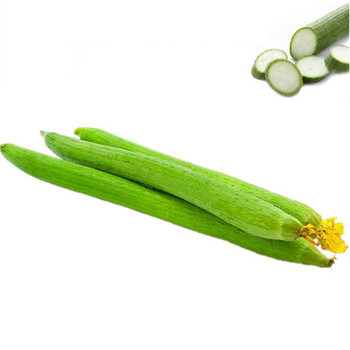 新鲜丝瓜绿丝瓜寿光蔬菜鲜嫩绿皮丝瓜农家自种 5斤