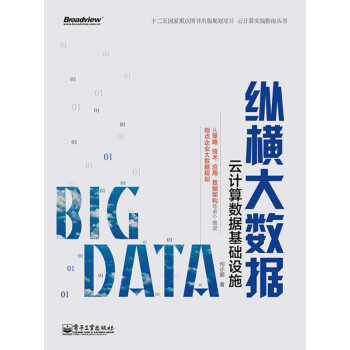 纵横大数据：云计算数据基础设施pdf/doc/txt格式电子书下载