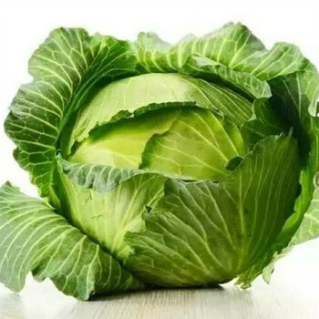 陕西农家自产新鲜包菜甘兰新西兰莲花白菜应季蔬菜 带箱3斤 带老叶