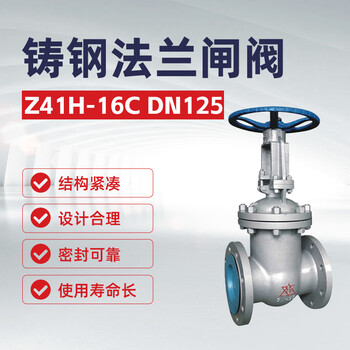 双恒 铸钢法兰闸阀 Z41H-16C DN125【1台】