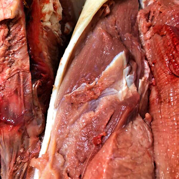 新鲜天然野猪肉猪腿肉土猪肉五花肉农家生鲜冷冻野生山猪带皮500g