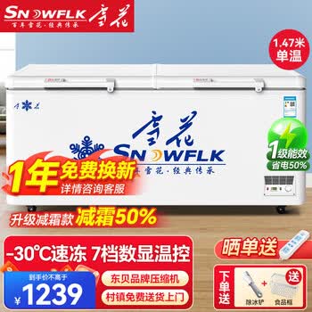 雪花（SNOWFLK）数显除霜冰柜商用家用冷冻柜卧式大容量全冷冻柜单温双温冰柜卧柜冷冻饭店酒店保鲜柜 【598单温】带锁数显款丨一级能效