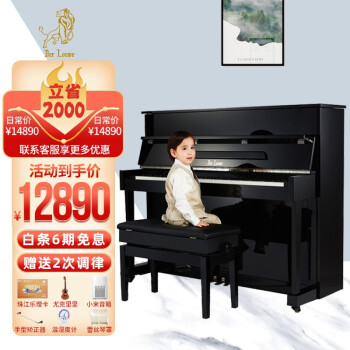 北京珠江钢琴制造有限公司新款德洛伊家用立式钢琴练习演奏专业考级钢琴入门教学DW系列 DW-118 官方标配
