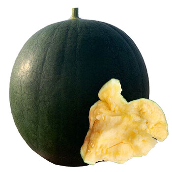 迭果黑津西瓜东台黑金王炸瓜三仓爆炸瓜黑皮黄瓤新鲜水果12斤【图片 