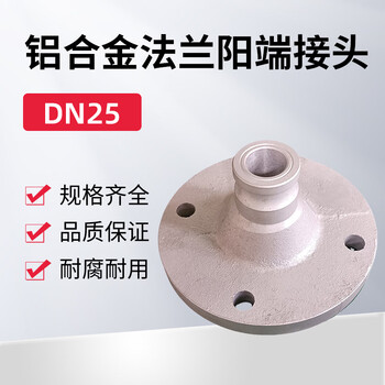 蓝宇星琳 3611铝合金法兰阳端接头 DN25  1个