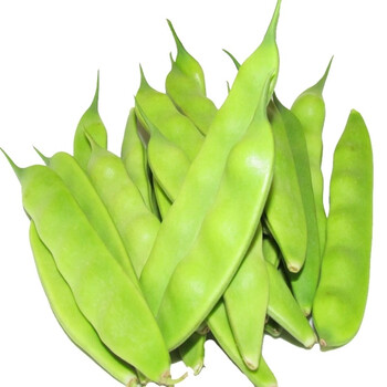 东北油豆角 /九月青开锅烂 农家新鲜蔬菜 东北特产