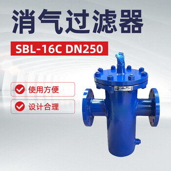 双恒 消气过滤器直通式排气过滤器SBL-16C，DN250篮式过滤器（拍前需确认参数）【1台】