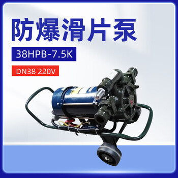 军华  电动Ex滑片泵抽油泵输油泵38HPB-7.5K (1.5寸 220V DN38）【1台】（油库 油料器材）