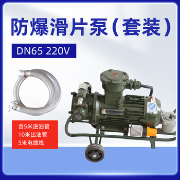 军华 防爆滑片泵抽油泵输油泵DN65 2.5寸 220V （套装）含5米进油管，10米出油管，5米电缆线 油库油料器材