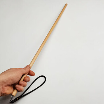 兰衍 教鞭 早教指读棒教师专用手持上课木棍老师教学棒指示棒 戒尺