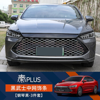 适用于比亚迪秦plus中网饰条防护改装配件秦dmi专用黑武士中网装饰黑