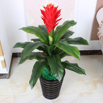 当头塑料花花鸿运当头仿真花落地树塑料装饰花大型85cm单杆鸿运盆草