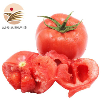 兰禾湾西红柿兰考特产自然成熟新鲜现摘沙瓤番茄时令蔬菜2.5kg