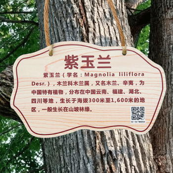 樹牌掛牌學校公園不鏽鋼插地牌子植物綠化信息牌銘牌樹木介紹標識牌