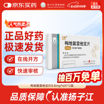 枸地氯雷他定片