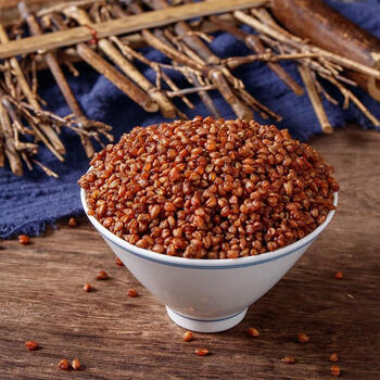 有仁堂 黑苦荞茶苦荞罐装苦荞大凉山荞麦茶饭店酒店茶叶黄苦荞茶正宗