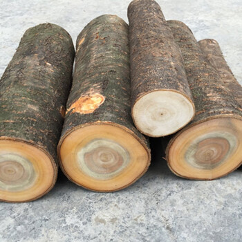 桃枝桃木原木料桃木段实桃木段雕刻料佛珠料 9-10厘米粗50厘米长1根