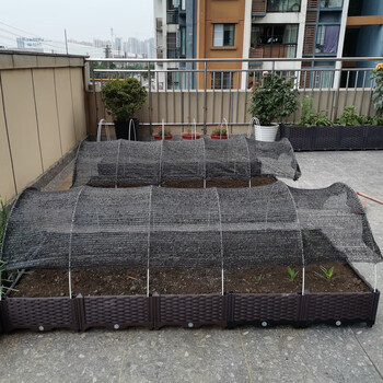 霸蓝太阳网遮阳网种菜遮阳网 盖菜遮阳网 蔬菜地遮阳网 菜地遮阳网 黑
