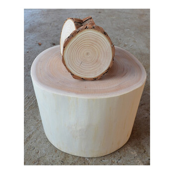 香椿木墩子原木树桩根雕凳树墩茶几底座圆木墩换鞋凳圆凳木头墩子