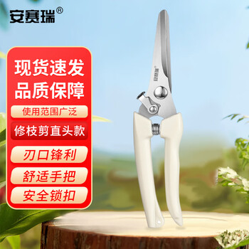 安赛瑞 修枝剪刀果树剪园艺剪 盆栽剪花卉工具园林绿植剪刀花艺 5J00327