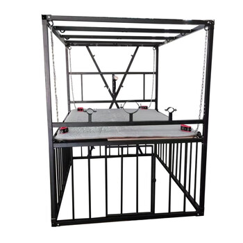 bdsm女调教惩罚架道具拘束捆绑道具变态调教性用品道具酒店用调教室刑