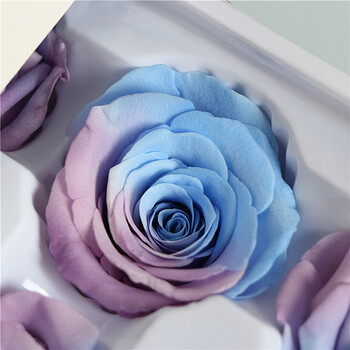 永生花七彩渐变玫瑰 diy玫瑰花束材料包一朵5-6厘米成品玻璃罩花 4-5