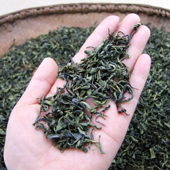 百草味高山炒茶1斤炒青绿茶粗老茶叶散装500克餐饮招待棋牌茶叶浓香