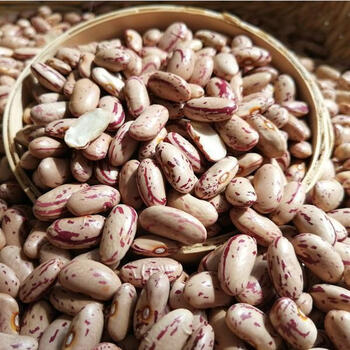 奶花豆新货贵州遵义花生豆雀蛋豆农家新豆花饭豆奶花芸豆五谷杂粮 (奶